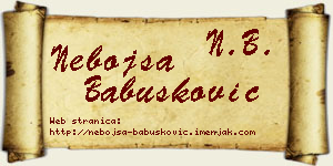 Nebojša Babušković vizit kartica